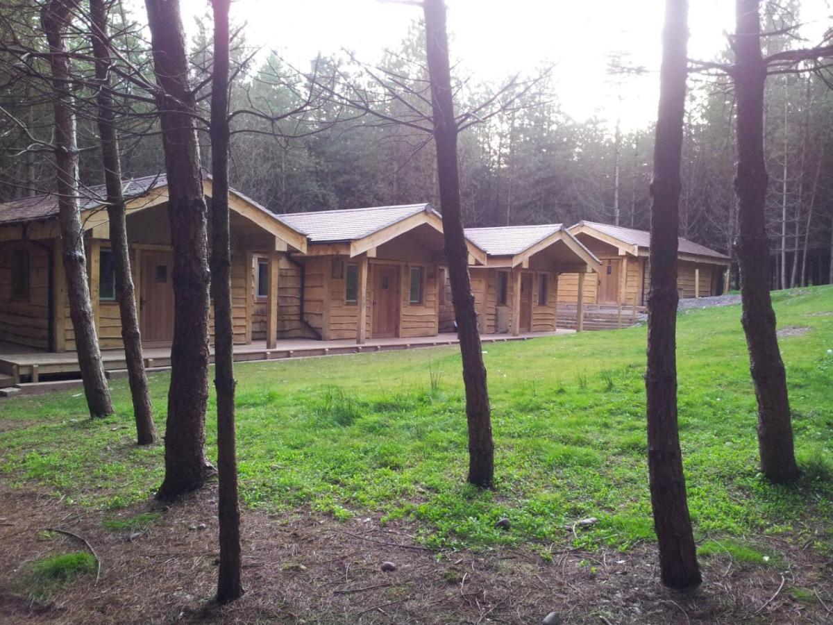 Wyldwood Lodge 치들 외부 사진